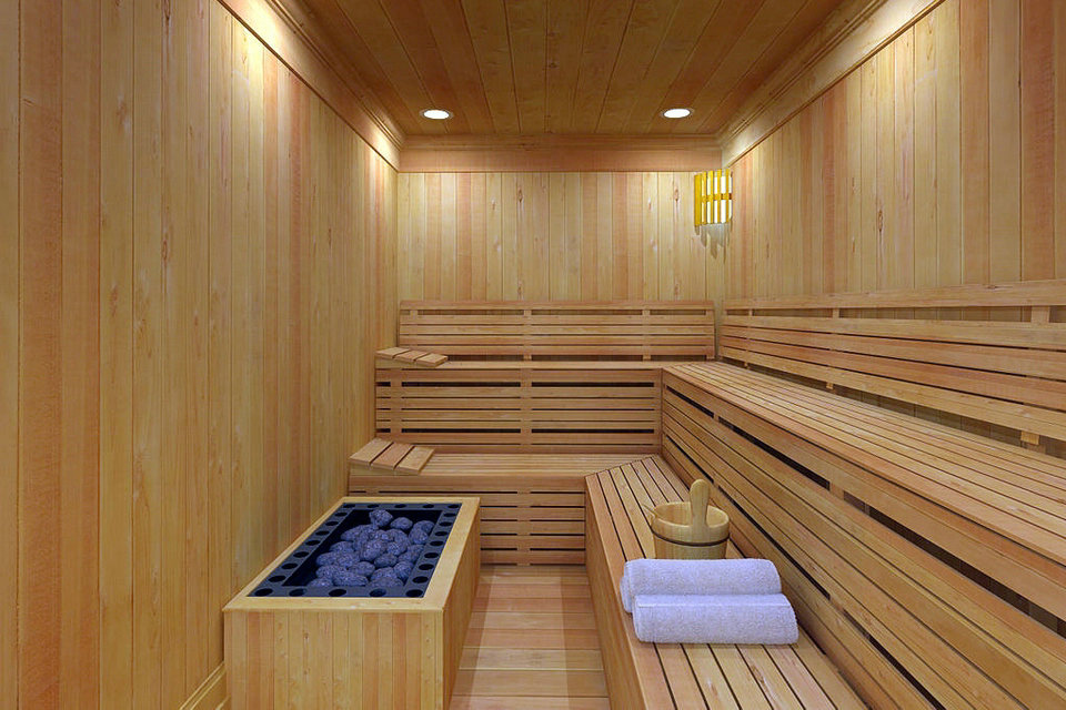 Sauna-in-travel